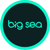 Big Sea logo
