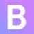 Borderless Software logo