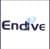Endive Software logo