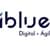 iBlue Consulting logo