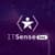 ITSense Inc logo