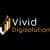 Vivid Digisolution logo