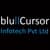 bluCursor Infotech Private Limited logo