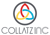 Collatzinc Private Limited logo