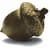 Goldforest Brand Communications logo