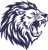 Leo Coders Private Limited logo