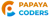 PAPAYA CODERS PRIVATE LIMITED logo