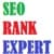 SeoRankExpert Digital Agency logo