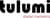 Tulumi Digital Marketing logo