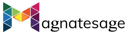 Magnatesage Technologies logo