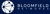 Bloomfield Networks logo
