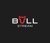 BULL STREAM logo