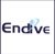 Endive Software logo