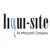 Liqui-Site logo