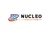 Nucleo Analytics Pvt Ltd logo
