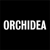 Orchidea Agency logo