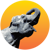 Radiant Elephant logo