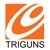 Triguns logo